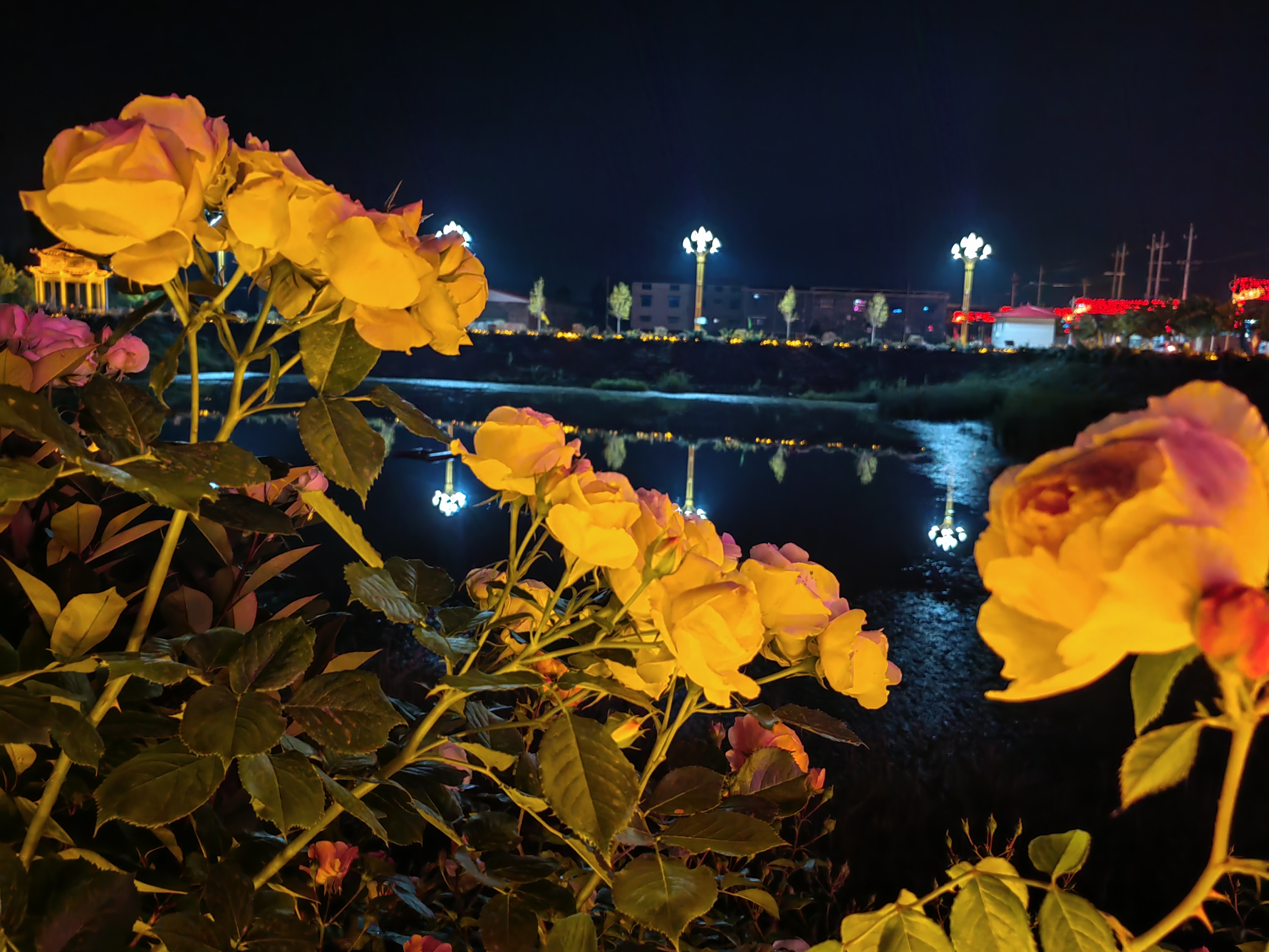 IMG_20240504_205550.jpg