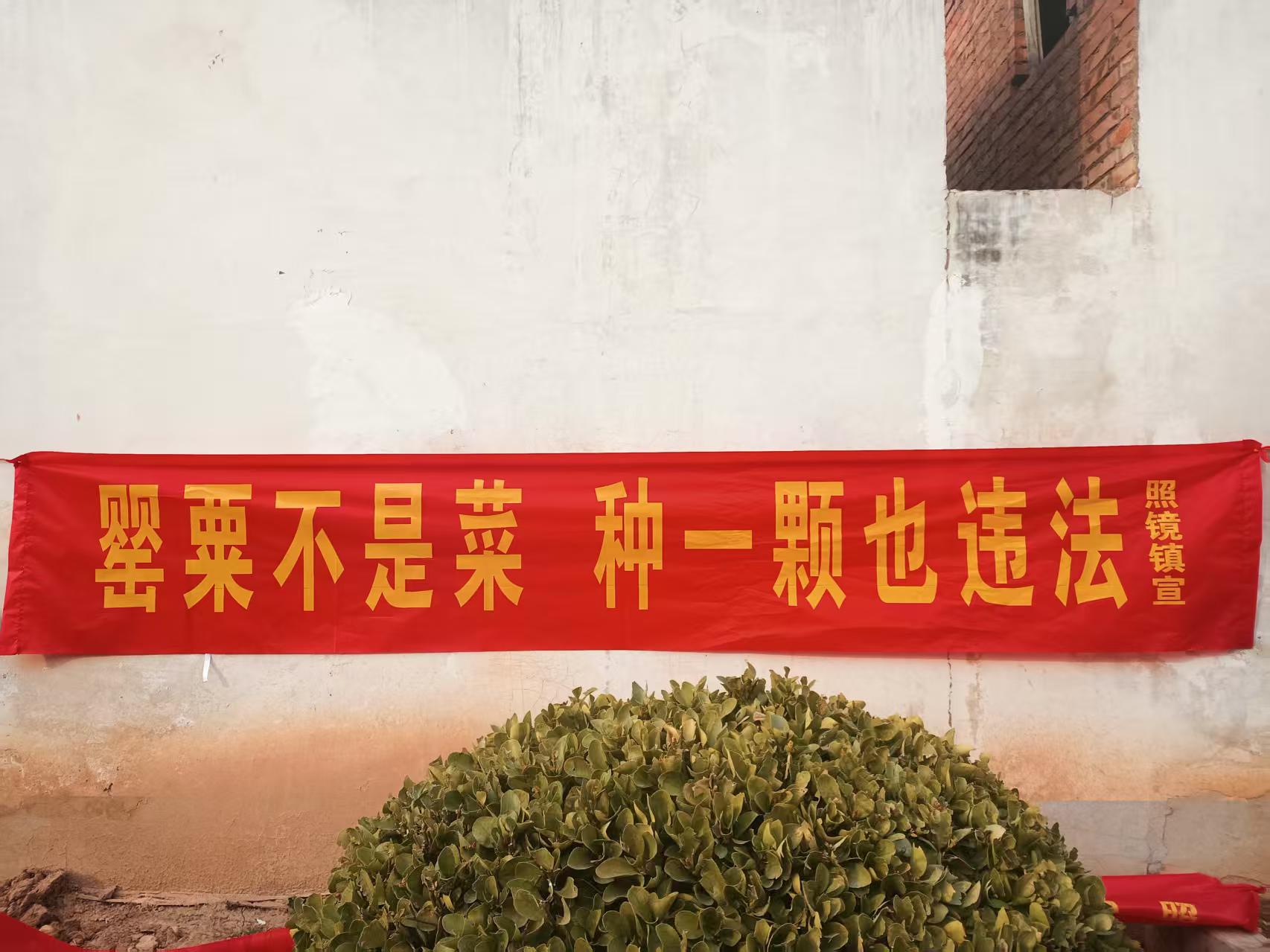 微信圖片_20250219085833.jpg