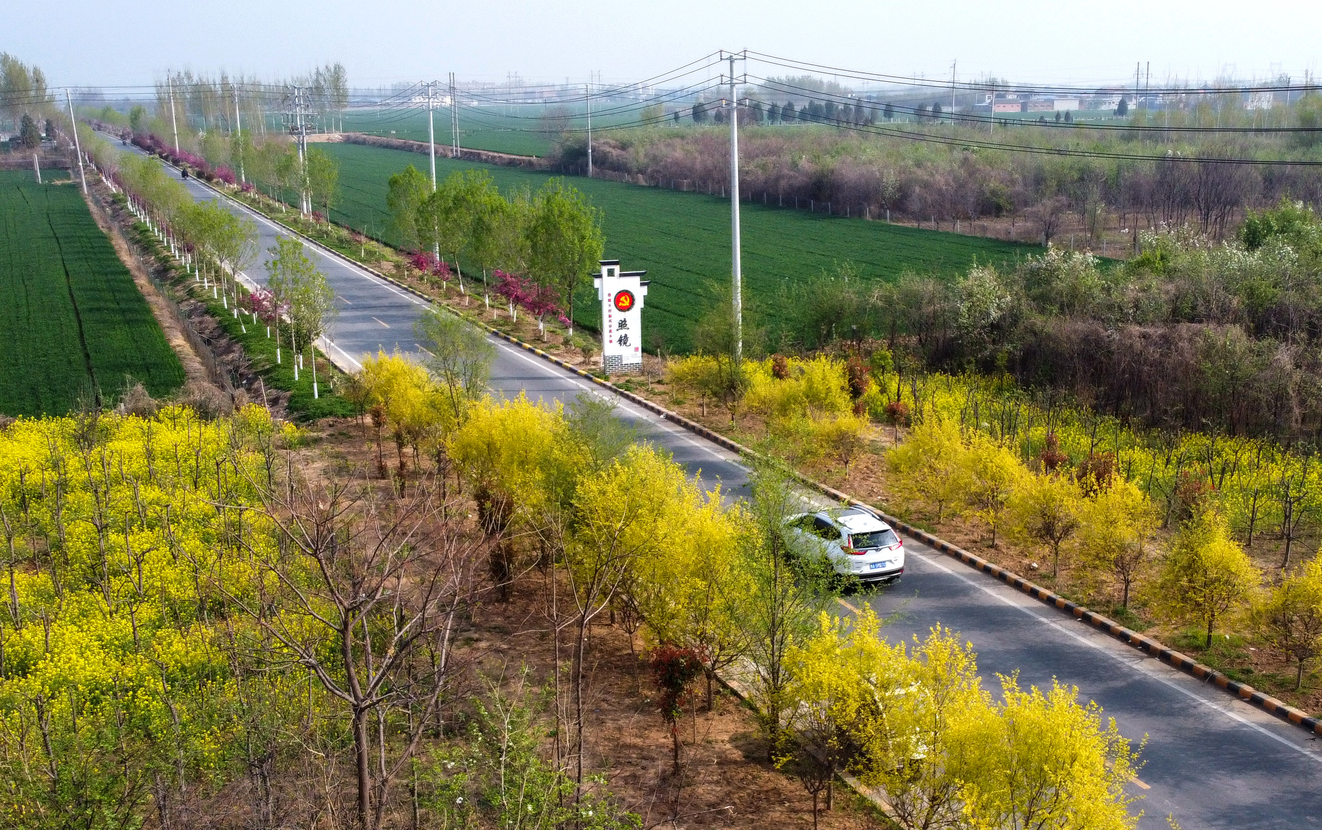 DJI_0282_選.jpg